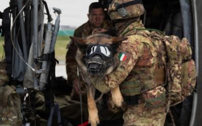 They Jumped First — The War Dogs Who Helped Change WWII Operations