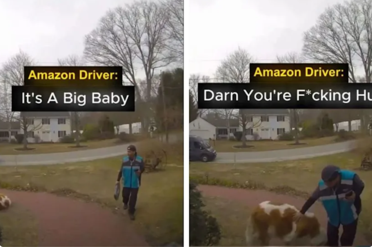 Amazon Driver’s Priceless Reaction to Meeting a Giant Newfoundland Is Winning Hearts