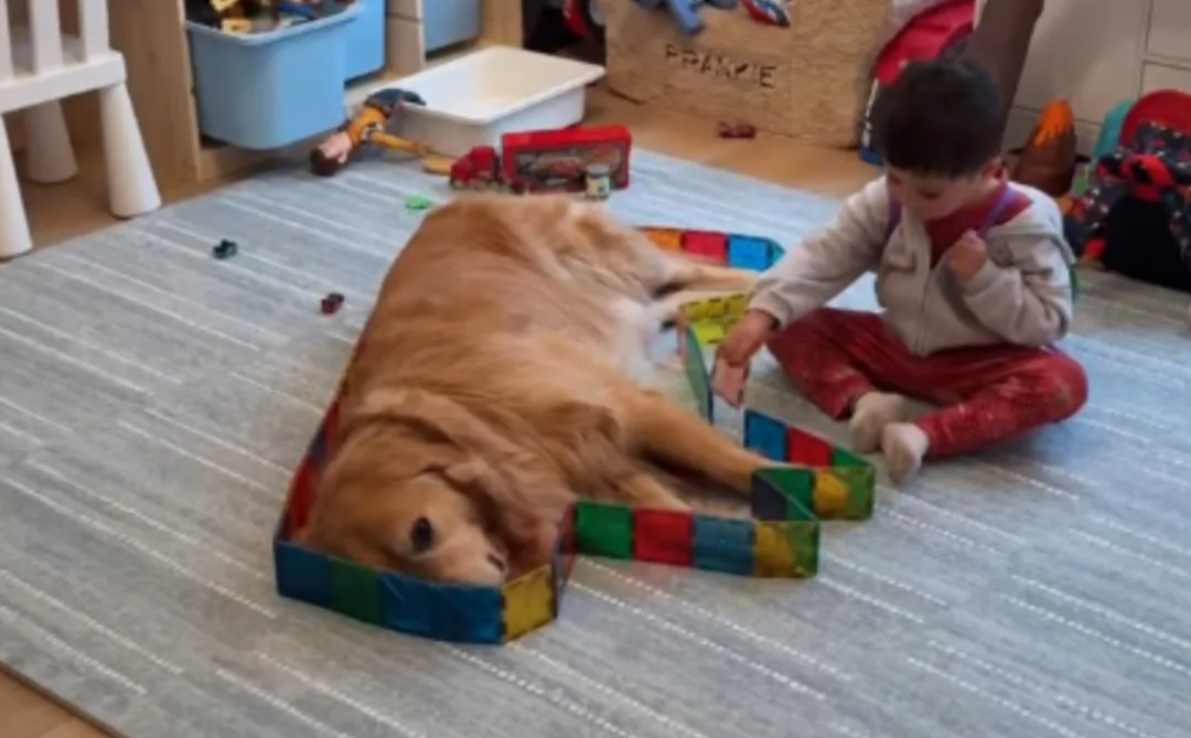 Toddler Turns His Golden Retriever Into Living Artwork During the Sweetest Playdate