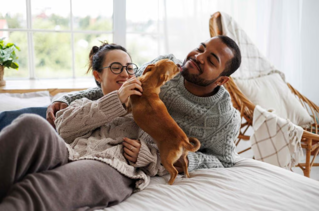 10 Simple Ways to Build an Unbreakable Bond With Your Dog
