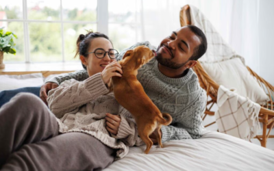 10 Simple Ways to Build an Unbreakable Bond With Your Dog