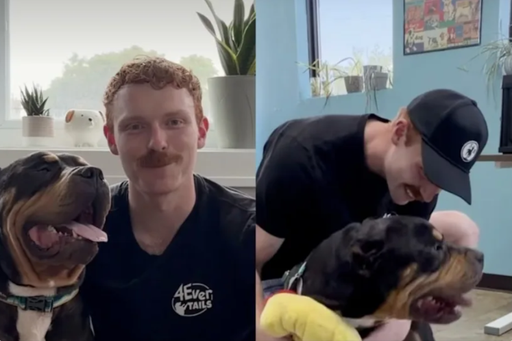 Everyone Thought It Was Goodbye—Then the Foster Dog’s Adoption Day Took an Unforgettable Turn