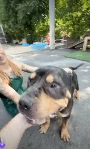 Everyone Notices His Enormous Head—But It’s His Sweet Personality That Steals the Show