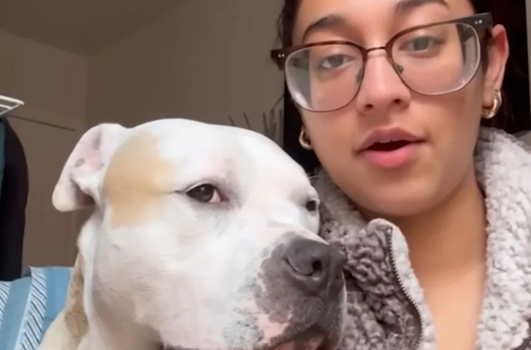 They Were Only Supposed to Foster Him—Then Bunny Stole Their Hearts Forever