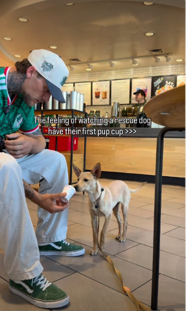 One Sweet Treat Reminded Everyone How Far This Rescue Dog Has Come