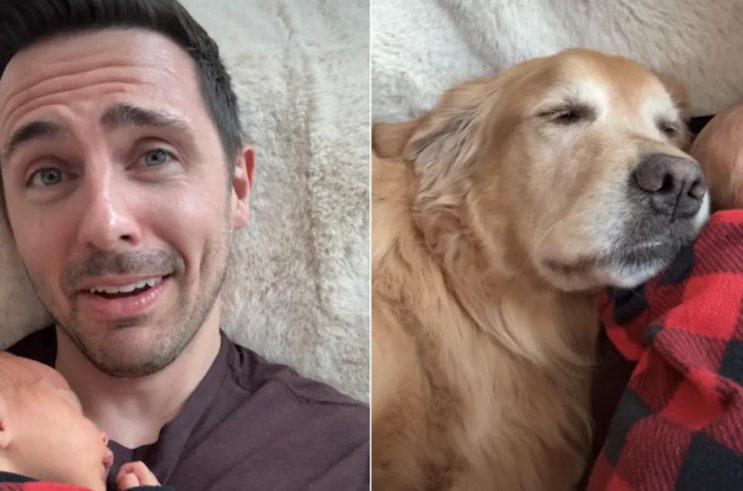 This Golden Retriever Is Completely Devoted to the Family’s Newest Little Member