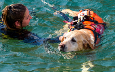 Meet the Incredible Rescue Dogs Saving Lives Along Italy’s Coastline