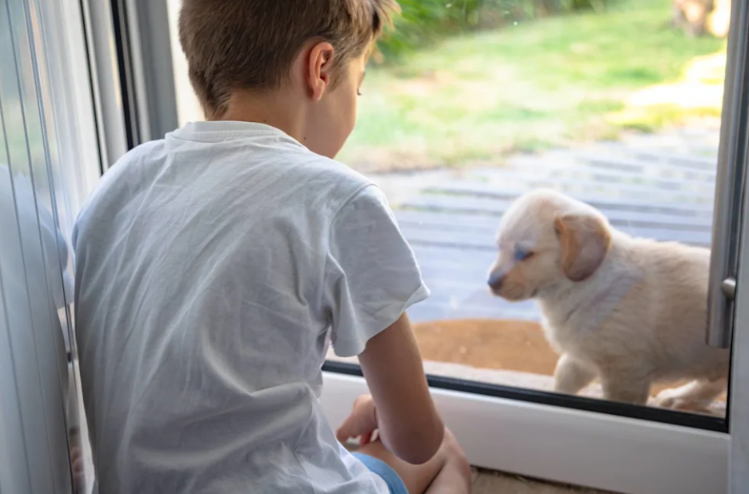 A Little Boy, a Golden Puppy, and a Beautiful Tradition That Will Never Be Forgotten