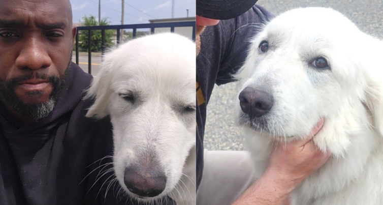 One Facebook Post Led to the Reunion Neither of Them Saw Coming