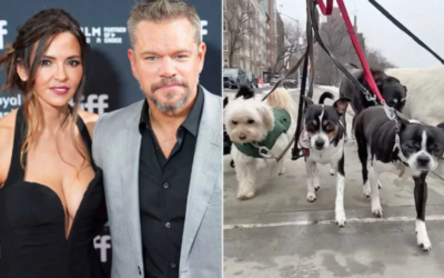 Matt Damon Proves Rescue Dogs Don’t Just Change Lives—They Change Families