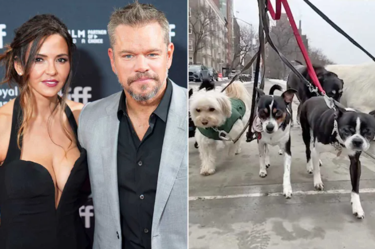 Matt Damon Proves Rescue Dogs Don’t Just Change Lives—They Change Families