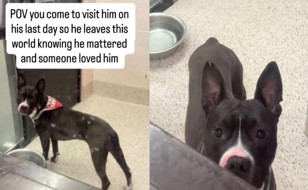 He Thought Someone Came to Say Goodbye—Instead, They Changed His Life Forever