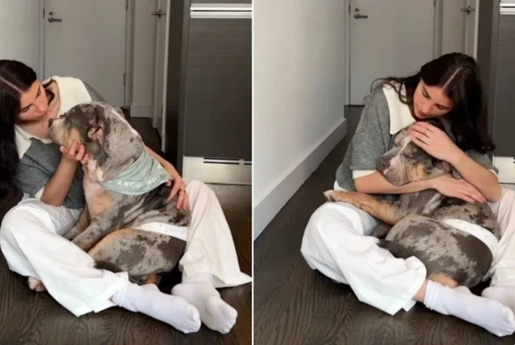 Rescue Dog Gets the Sweetest Pep Talk Before the Biggest Day of His Life