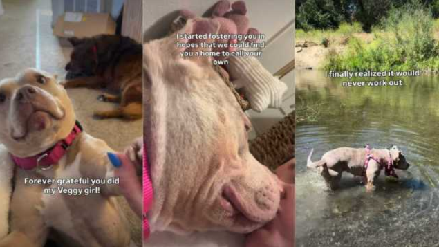 She Was Adopted Three Times… But Kept Coming Back to the One Person She Chose