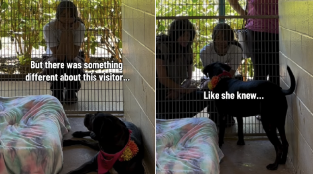 Nobody Chose Her for Months… Until the Perfect Family Walked In