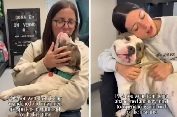 After Being Left Behind, This Rescue Dog Finds Comfort in an Unexpected Girl Gang
