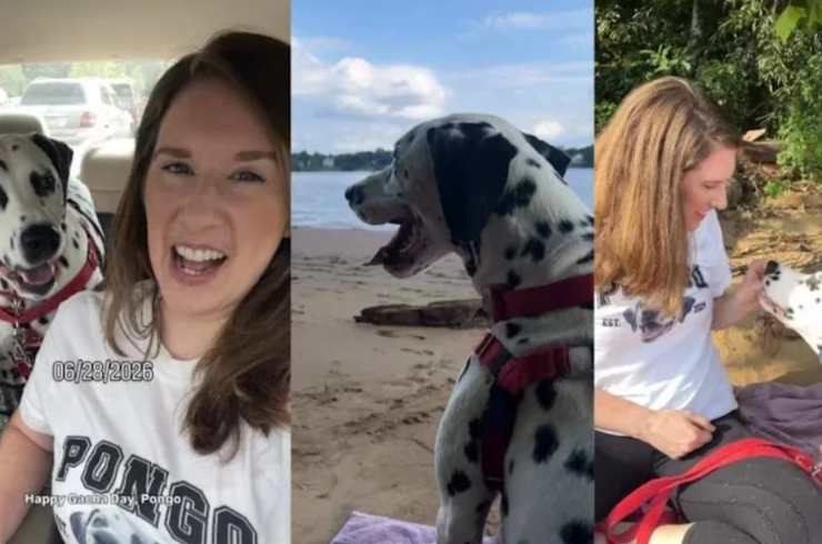A Stray Dalmatian in 101-Degree Heat Found the Family He Was Meant to Have