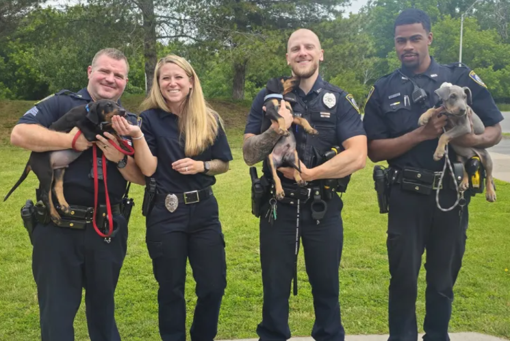 The Officers Who Rescued These Neglected Puppies Couldn’t Bear to Let Them Go