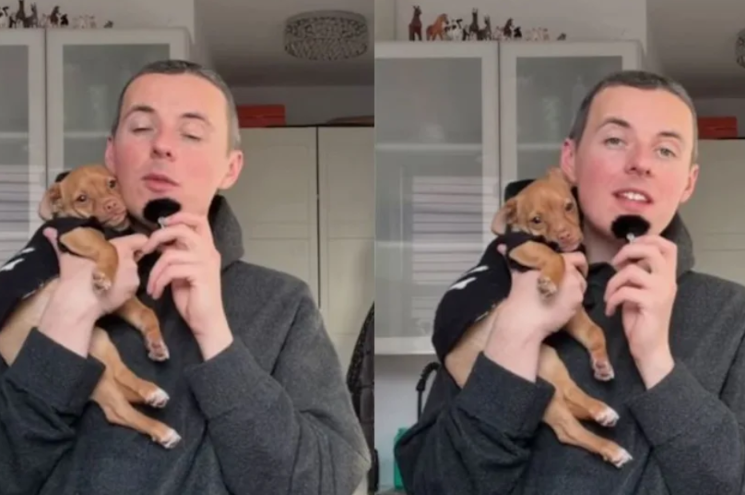 The Best Revenge? This Abandoned Puppy Is Living His Dream Life