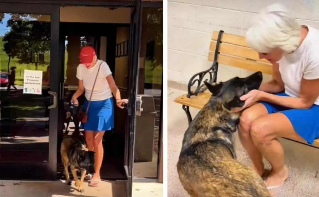 A Viral Video Changed Everything for This Shelter Dog in Just 24 Hours
