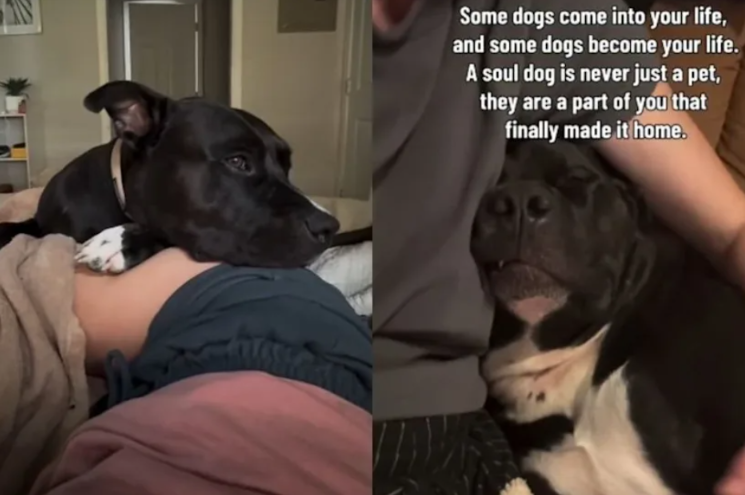 He Was Found Injured on a Highway—Now He’s the Heart of One Family