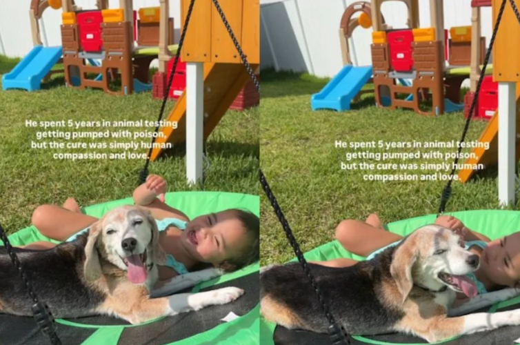 He Spent 5 Years in a Lab—Now Watch the Way He Looks at His Little Sister