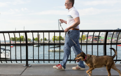 Helping Animals Changes Lives—Including Your Own