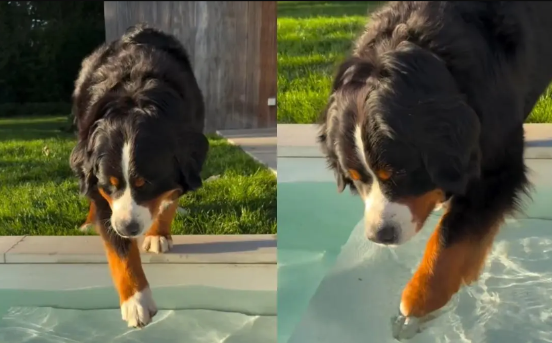 She Didn’t Trust the Water One Bit… But What Happened Next Is Hilarious