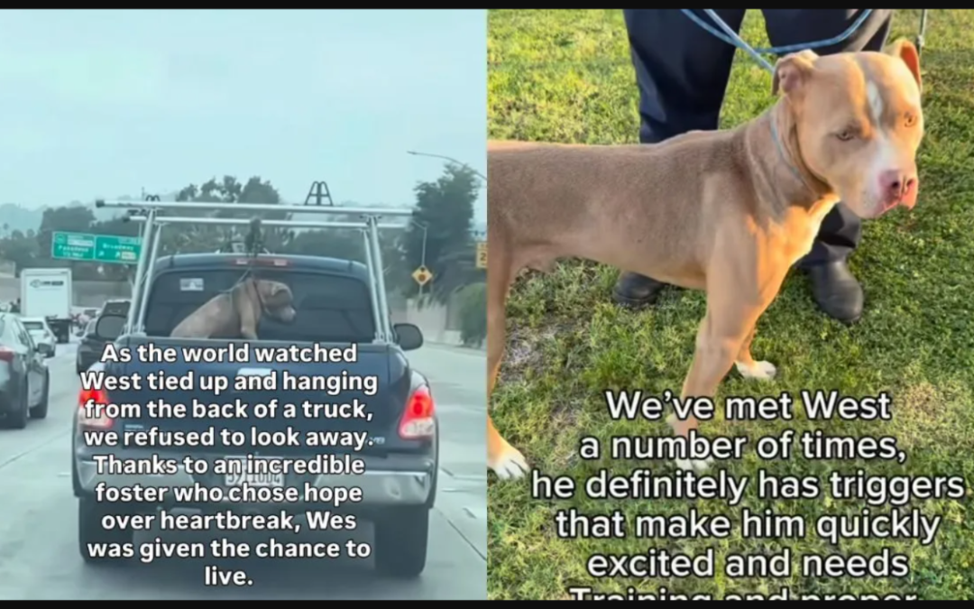 He Was Running Out of Time, Then a Foster Family Gave Him a Second Chance