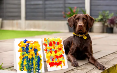 Turn Your Dog Into an Artist With This Fun DIY Painting Activity