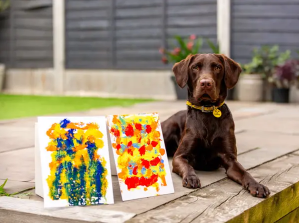 Turn Your Dog Into an Artist With This Fun DIY Painting Activity