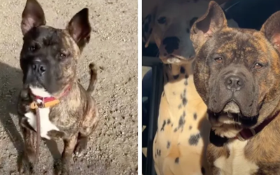 He Was Running Out of Time—Then One Rescue Changed Everything