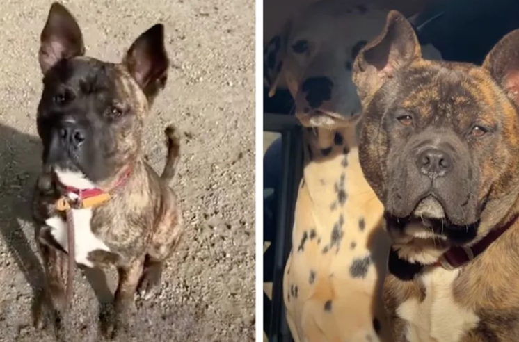 He Was Running Out of Time—Then One Rescue Changed Everything
