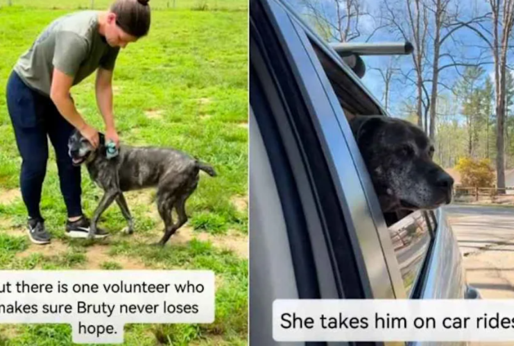 He’s The Shelter’s Oldest And Longest Resident—But He’s Never Given Up Hope