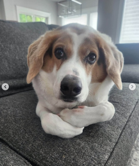 Cooper Was Born Different, But His Big Personality Makes Him Impossible Not To Love