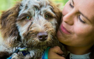 Stop the Accidents: 7 Simple Steps to Toilet Train Your Puppy