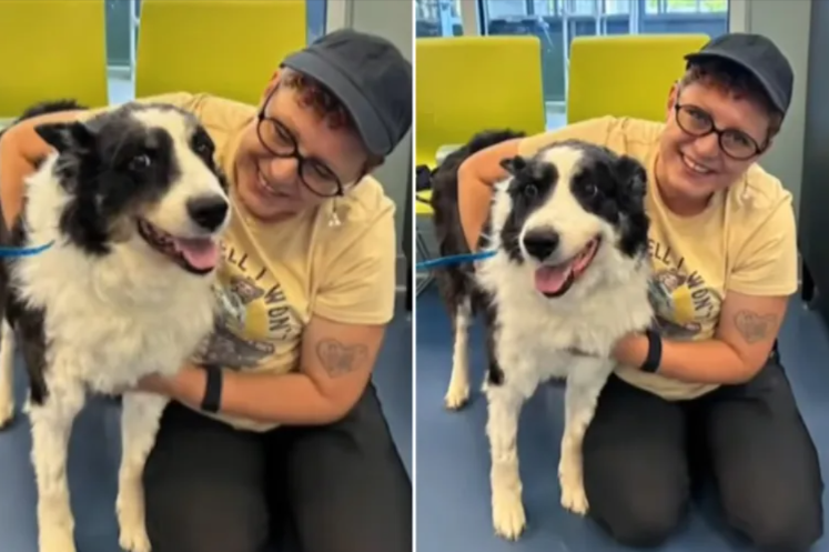 His Family Thought He Was Gone For Good. Then A Shelter 1,000 Miles Away Found Him