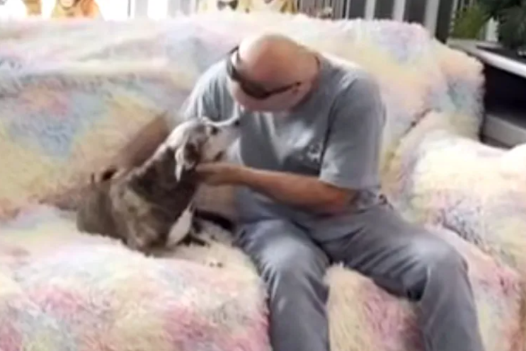Ten Years Later, A Senior Beagle Finally Made Her Way Back Home