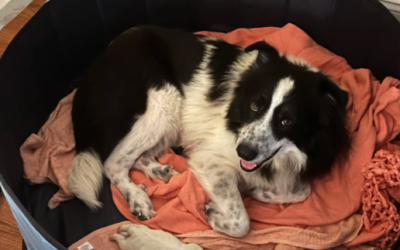They Thought She Was Just Getting Chubby—Then Came the Biggest Surprise
