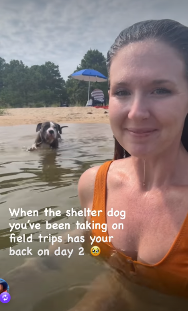 Shelter Dog Thinks His New Human Is in Trouble and Bravely Jumps Into the Water