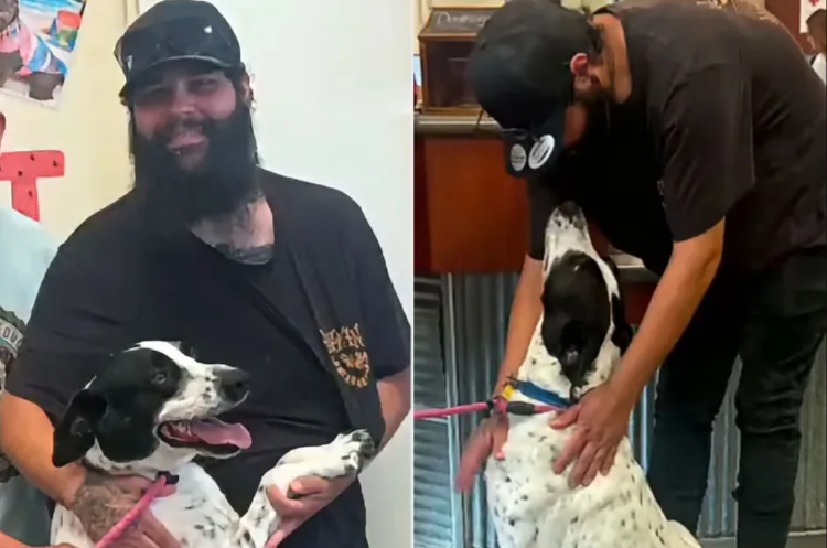 Dog Vanishes for 8 Months—Then a Random Facebook Photo Brings Him Home