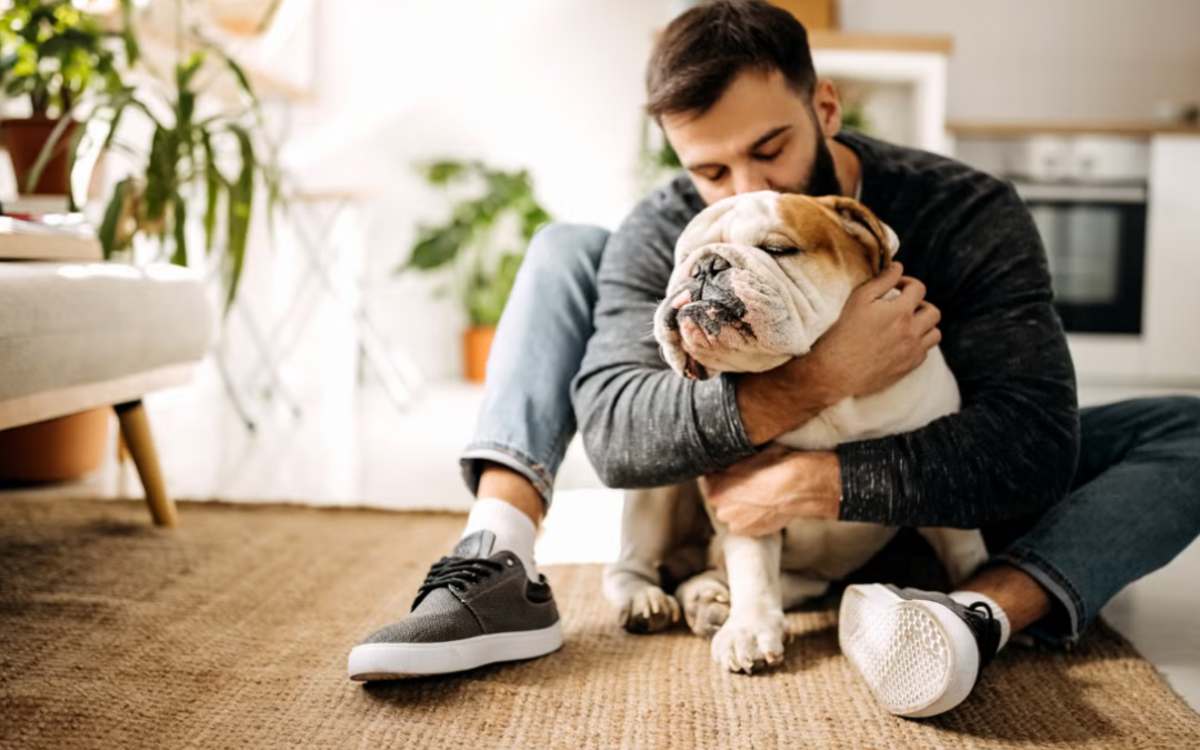 This English Bulldog Crashed Dad’s Zoom Meeting And Stole The Entire Show