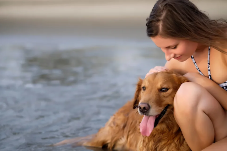 Golden Retriever’s Beach Reunion With His Favorite Human Has Everyone in Tears