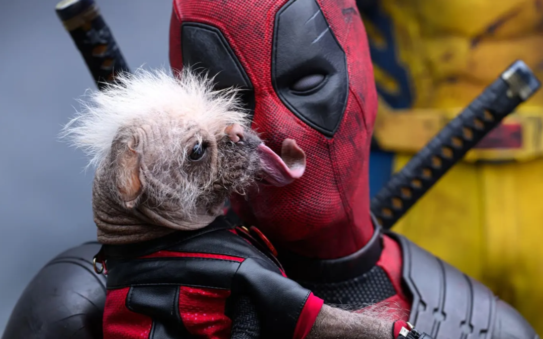 She Was Once Called “Ugly.” Now She’s Dogpool—and Fans Can’t Get Enough