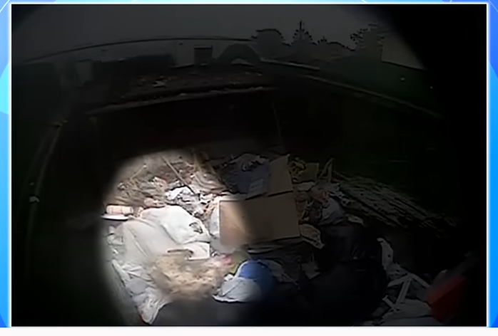 Garbage Truck Driver Spots Something Moving In The Trash — Then Realizes It’s A Tiny Dog