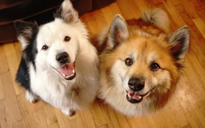 They Survived a Terrifying Past Together—Now These Rescue Sisters Are Showing the World What Love Looks Like