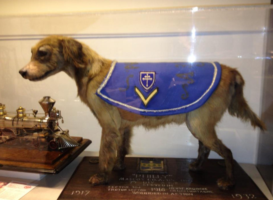 They Smuggled Their Puppy Onto a Ship, But Nobody Expected Her to Become a Wartime Hero