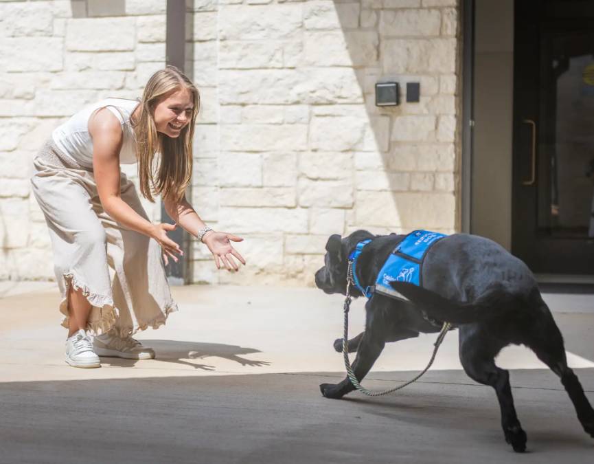 These Service Dogs Had One Emotional Surprise Before Graduation