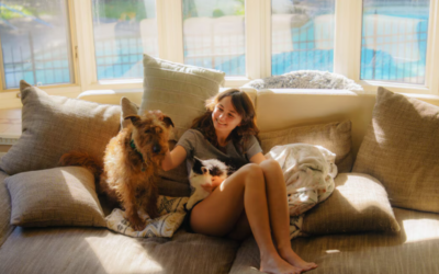 The Heartworm Mistake Dog Owners Make When The Weather Turns Cold