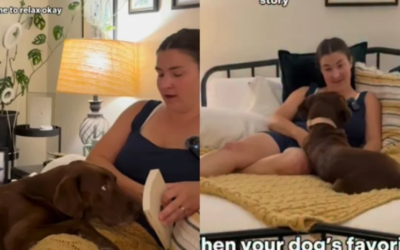 She Doesn’t Understand the Words… But She Knows Exactly What Mom Is Saying